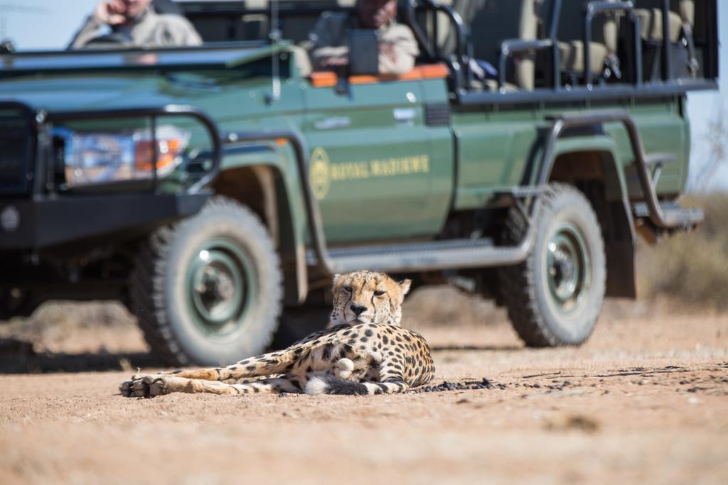 Royal Madikwe Luxury Safari Lodge Ramotshere Moiloa Exterior photo