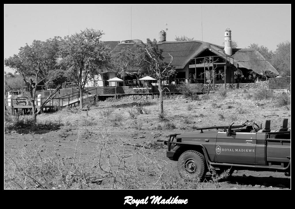 Royal Madikwe Luxury Safari Lodge Ramotshere Moiloa Exterior photo