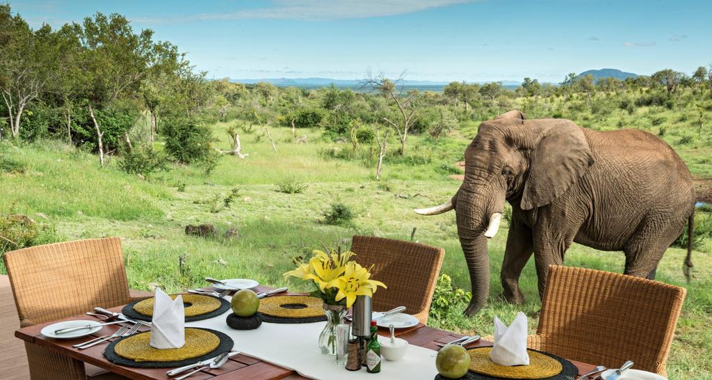 Royal Madikwe Luxury Safari Lodge Ramotshere Moiloa Exterior photo