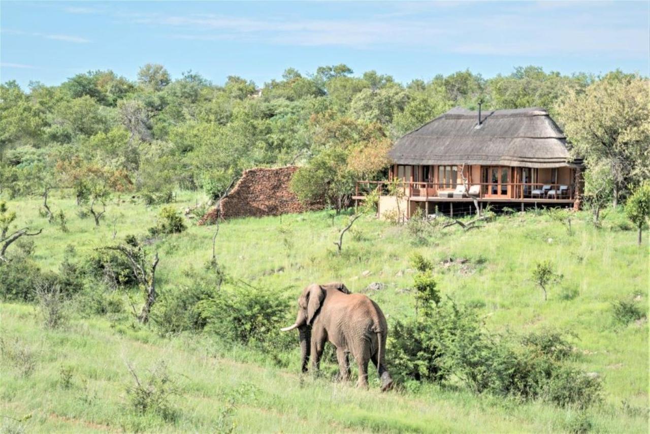 Royal Madikwe Luxury Safari Lodge Ramotshere Moiloa Exterior photo