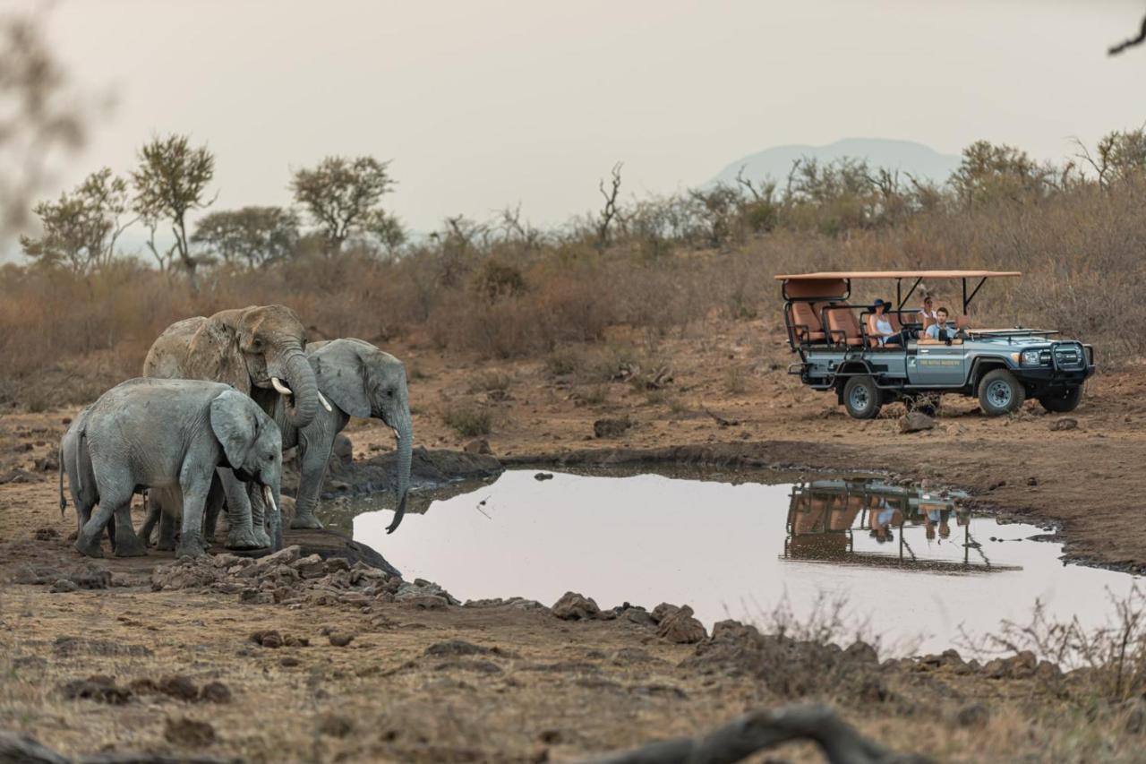 Royal Madikwe Luxury Safari Lodge Ramotshere Moiloa Exterior photo